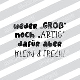 Klein & Frech PNG Datei