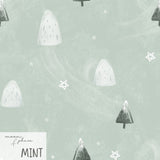 winter wonderland