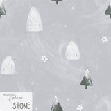 winter wonderland
