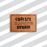 Coolest Clothes PNG File